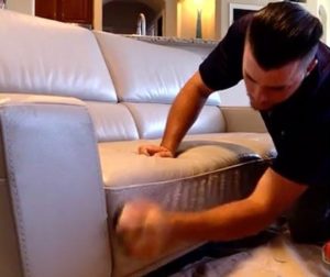 CCI Technician Cleaning Leather Sofa