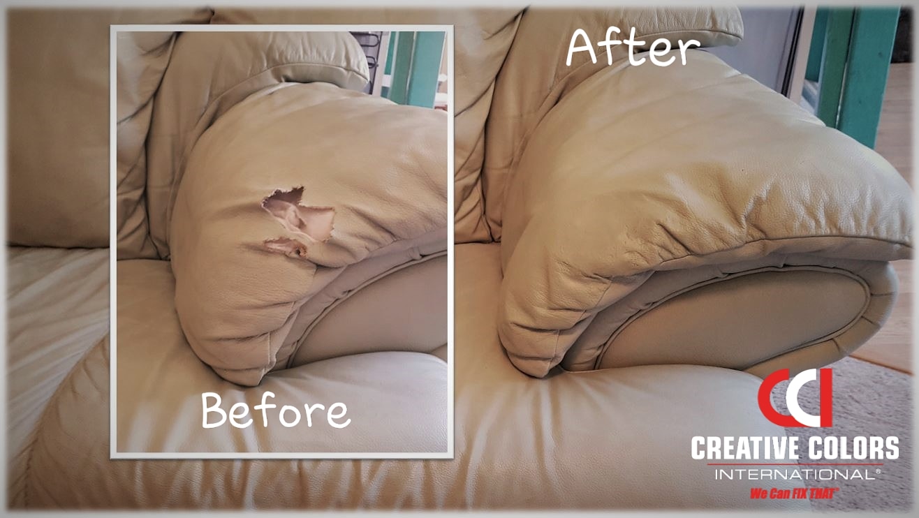 How can I repair my leather couch after my dog got to it? : r/fixit